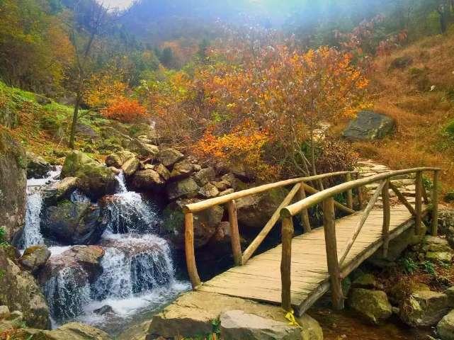 阴森的郊区